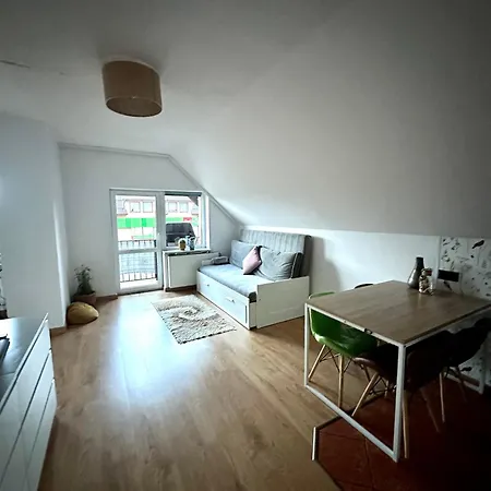 Przytulne Mieszkanie W Sercu Kaszub アパート