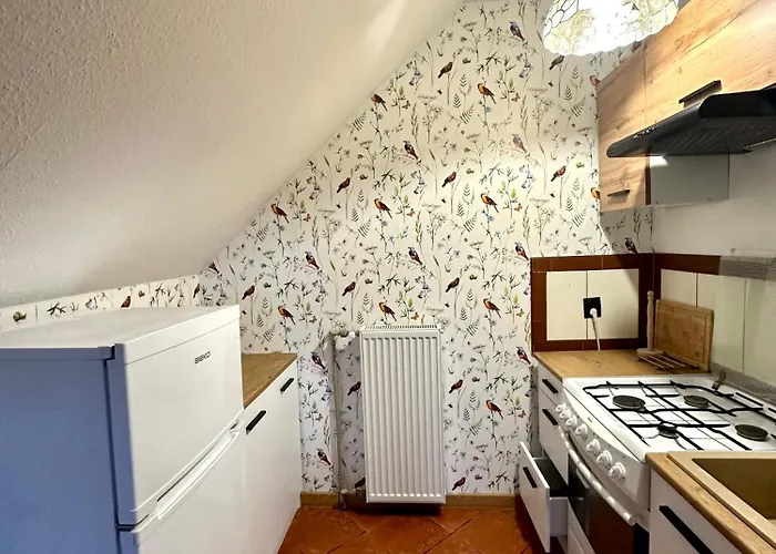 Przytulne Mieszkanie W Sercu Kaszub * Stężyca